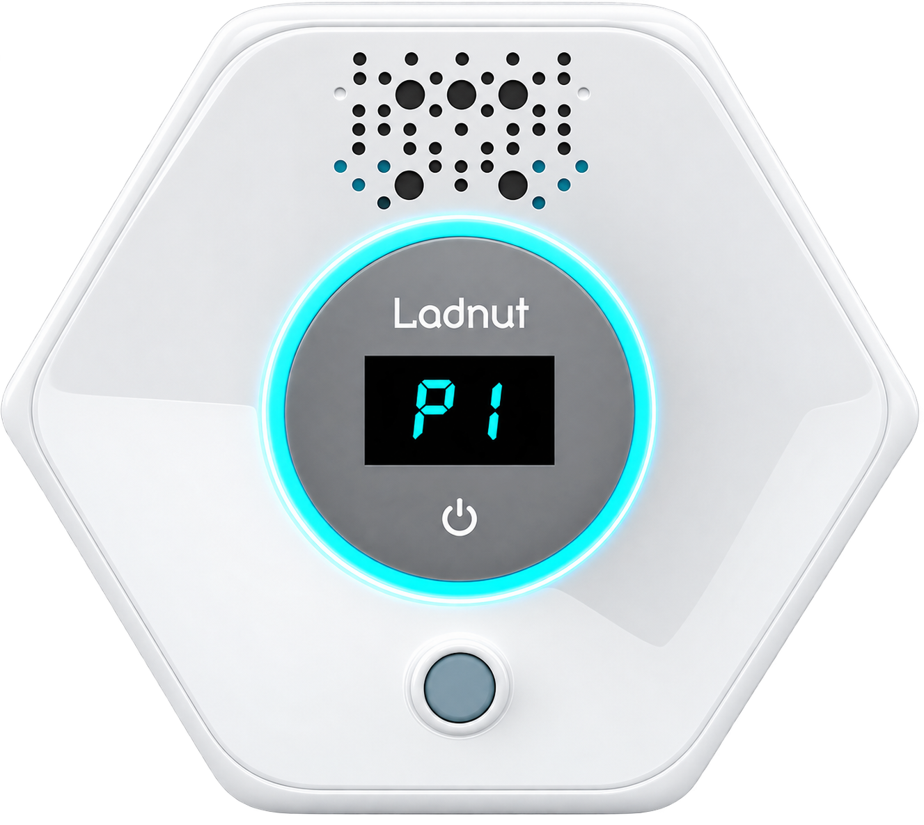 Ladnut Smart Deodorizer