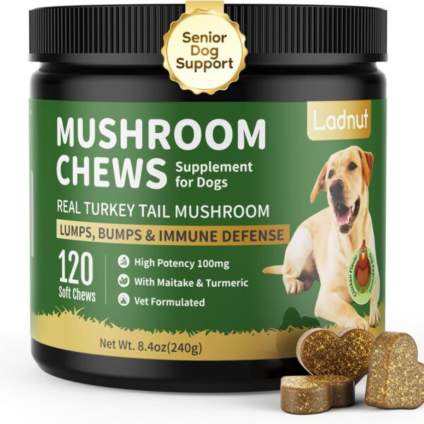 Turkey Tail Mushroom for Dogs