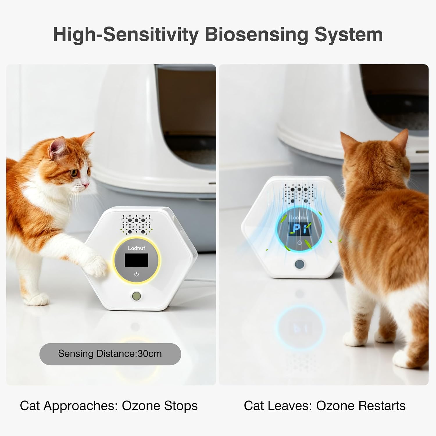 Cat Litter Odor Deodorizer - Ozone & Negative Ion Cat Odor Eliminator with Sensor Monitor, Safe Air Purifier for Pets,Odor Remover for Multi-Purpose Use - Image 4
